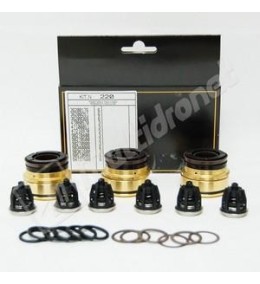 KIT 220 COLLARINES Y BRONCES COMPLETOS D.20 + VALVULAS INTERPUMP